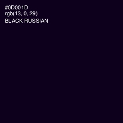 #0D001D - Black Russian Color Image